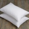 Pack Of 2 Teflon Ultimate Stain Resistant Side Sleeper Pillows