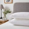 Luxury TENCEL™ Blend Back Sleeper Pillow Pair