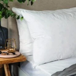 Snuggledown Hotel Goose Feather And Down Back Sleeper Pillow -Bedding Store 30934375 alt02