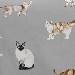 Cats Polycotton Duvet Cover & Pillowcase Set -Bedding Store 30963986 alt04